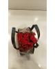 Çantada Kalanchoe