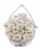 Beyaz Papatya Çiçek Buketi