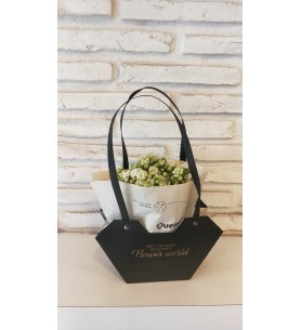 Çantada Kalanchoe