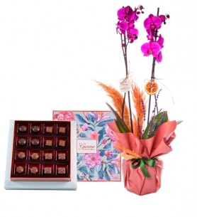 Çift Dal Mor Orkide ve Çiçekli Çikolata Kutusu