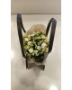 Çantada Kalanchoe