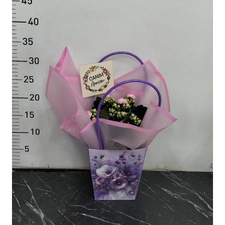 Anneler Günü Saksıda Kalanchoe