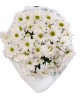 Beyaz Papatya Çiçek Buketi