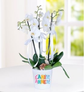 Canım Annem 3 Dal Beyaz Orkide Çiçeği