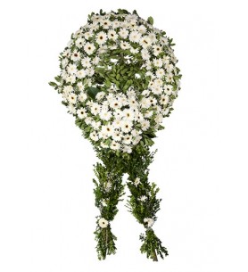 Cenaze Çelenk - Beyaz Gerberalar